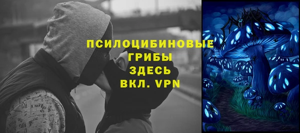 гашик Осташков