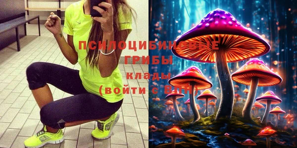 гашик Осташков