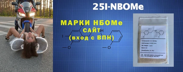 гашик Осташков