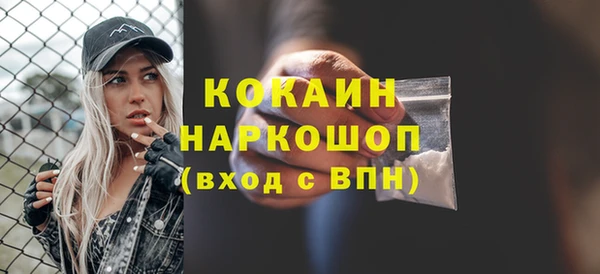 гашик Осташков