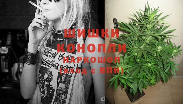 гашик Осташков